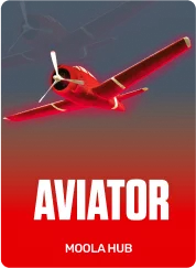 Your players would like to use their luck and take their winnings to the next level. In that case, Crash is an amazing crypto casino game for you to count on. 