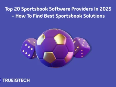Sportsbook Software Providers
