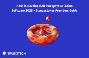 Sweepstake Software Development Guide - Trueigtech