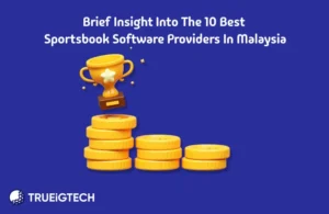 Brief Insight into the 10 Best Sportsbook Software Providers in Malaysia - Trueigtech