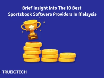 Brief Insight into the 10 Best Sportsbook Software Providers in Malaysia - Trueigtech