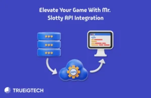 Innovative Game Provider for Distinct Slot Experiences_ Mr. Slotty - Trueigtech