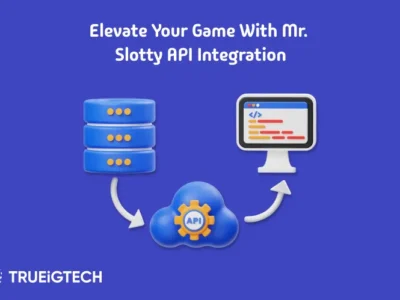 Innovative Game Provider for Distinct Slot Experiences_ Mr. Slotty - Trueigtech