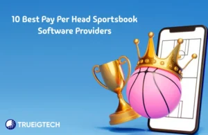 10 Best Pay Per Head Sportsbook Software Providers - Trueigtech