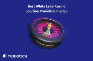 Best White Label Casino Solution Providers in 2025 - Trueigtech