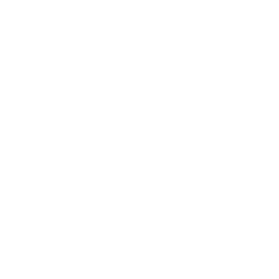 Social Casino Platform Development-Trueigtech