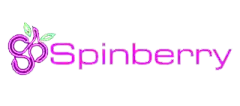 Spinberry promises to deliver on a new experience for iGamers-Trueigtech