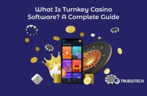 What is Turnkey Casino Software? A Complete Guide for New Operators-Trueigtech