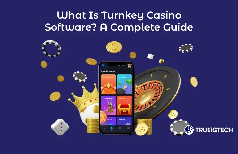 What is Turnkey Casino Software? A Complete Guide for New Operators-Trueigtech