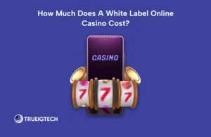 How Much Does A White Label Online Casino Cost?-TRUEiGTECH