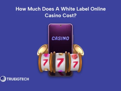 How Much Does A White Label Online Casino Cost?-TRUEiGTECH