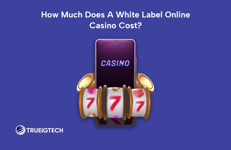 How Much Does A White-Label Online Casino Cost?