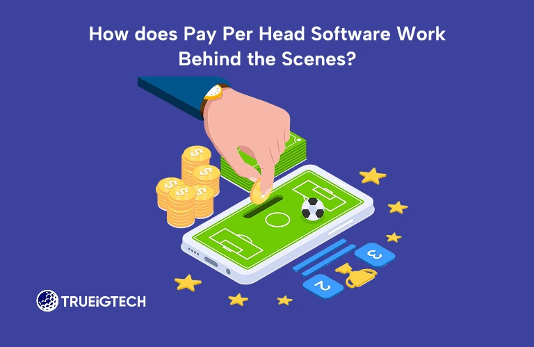 How does Pay Per Head Software Work Behind the Scenes_
