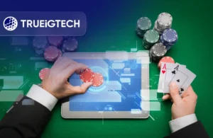Stake Casino Clone Software Development for Sweepstakes-Trueigtech
