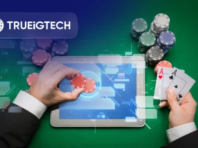 Stake Casino Clone Software Development for Sweepstakes-Trueigtech