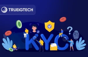 Top 10 KYC/AML Compliance Software Providers for Gambling - TRUEiGTECH