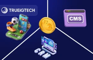 PAM vs CRM vs CMS: Understanding the Differences in Online Casino Tech Stack