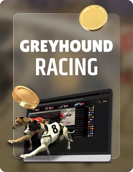Greyhound Racing