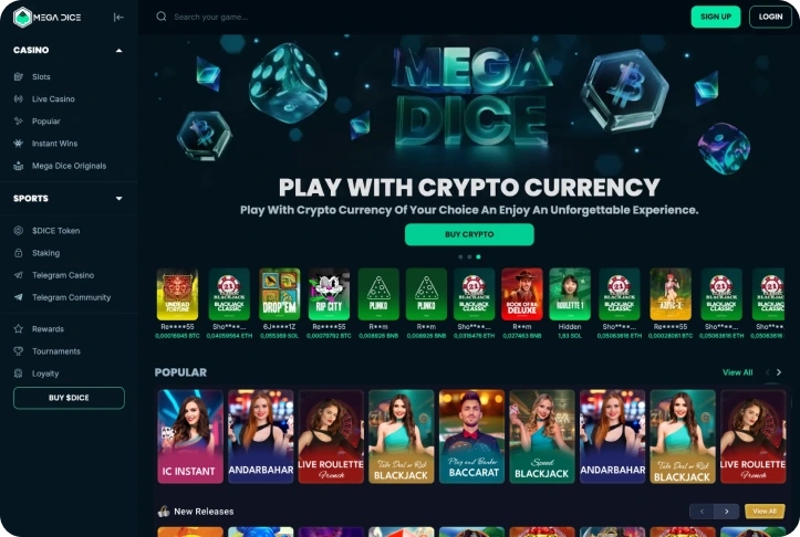Custom Crypto Casino Software Development