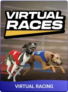 Virtual Racing