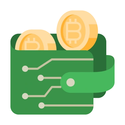 Dual Currency Wallet System
