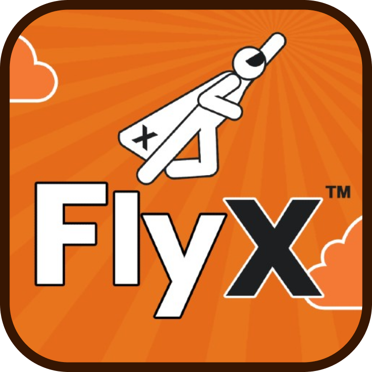 FlyX