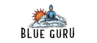 Blue Guru Games